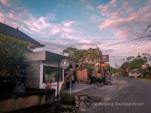 New Bali Coffee Shop, newest bali coffee shop
