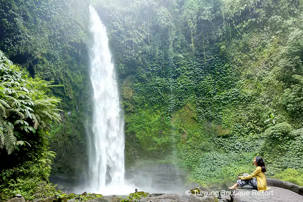 nungnung waterfall bali, nungnung waterfall, petang waterfall, majestic bali waterfall