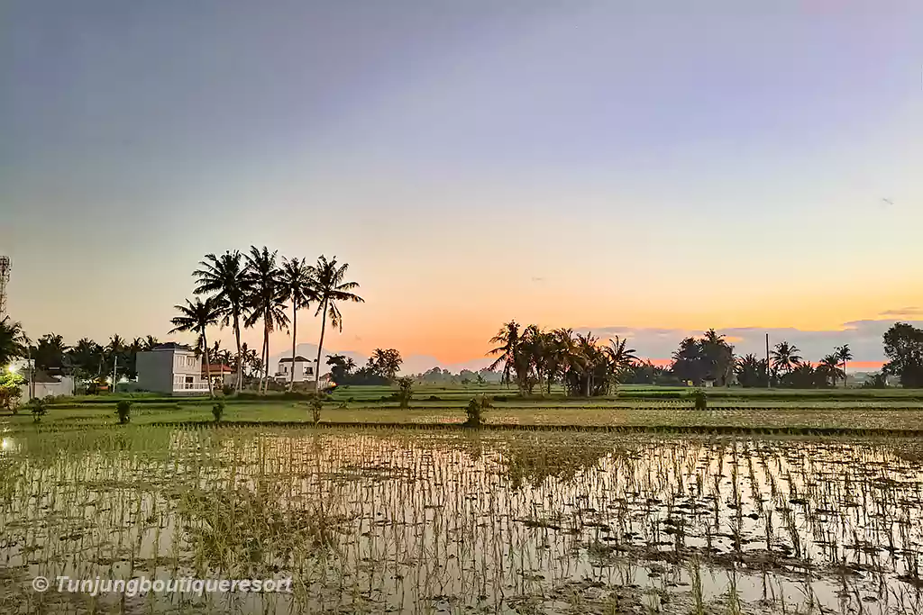 Tumbak Bayuh Hotels, Tumbak Bayuh Village, Places to stay in Canggu