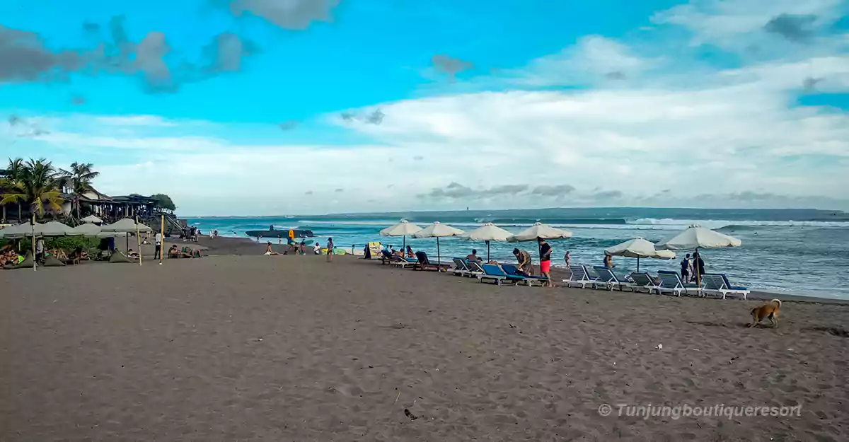 Canggu Bali, Canggu Beach, Canggu places to Stay, Bali Travel List