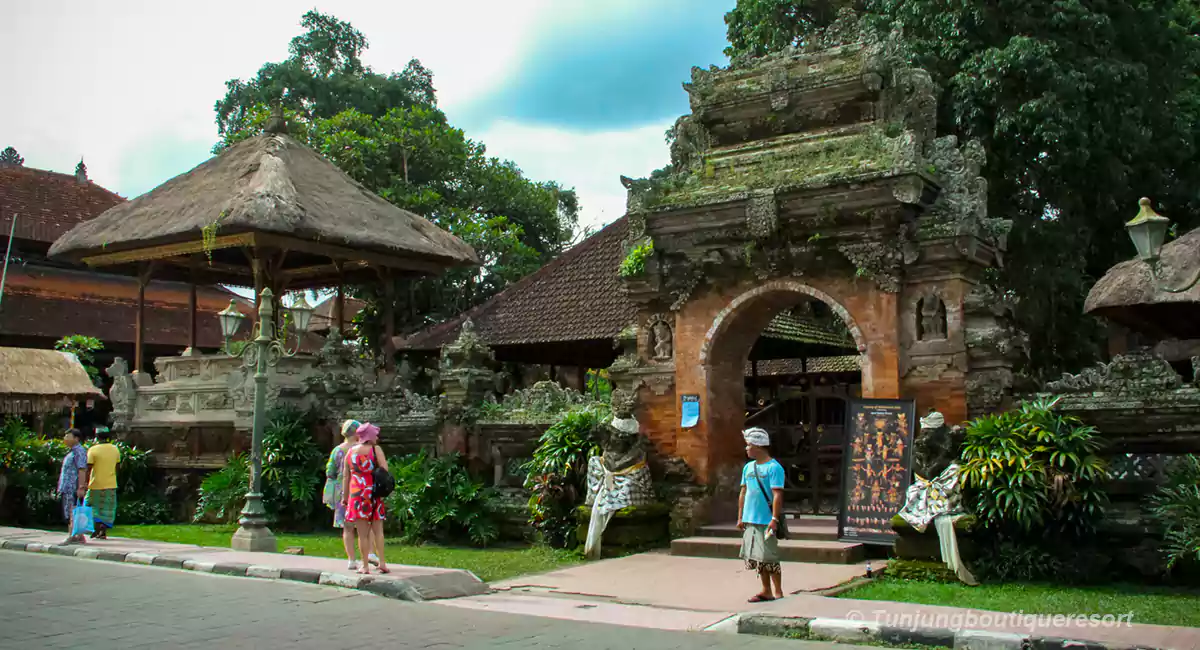 Stay in Canggu and explore Ubud, Explore Ubud Village, Ubud Tours