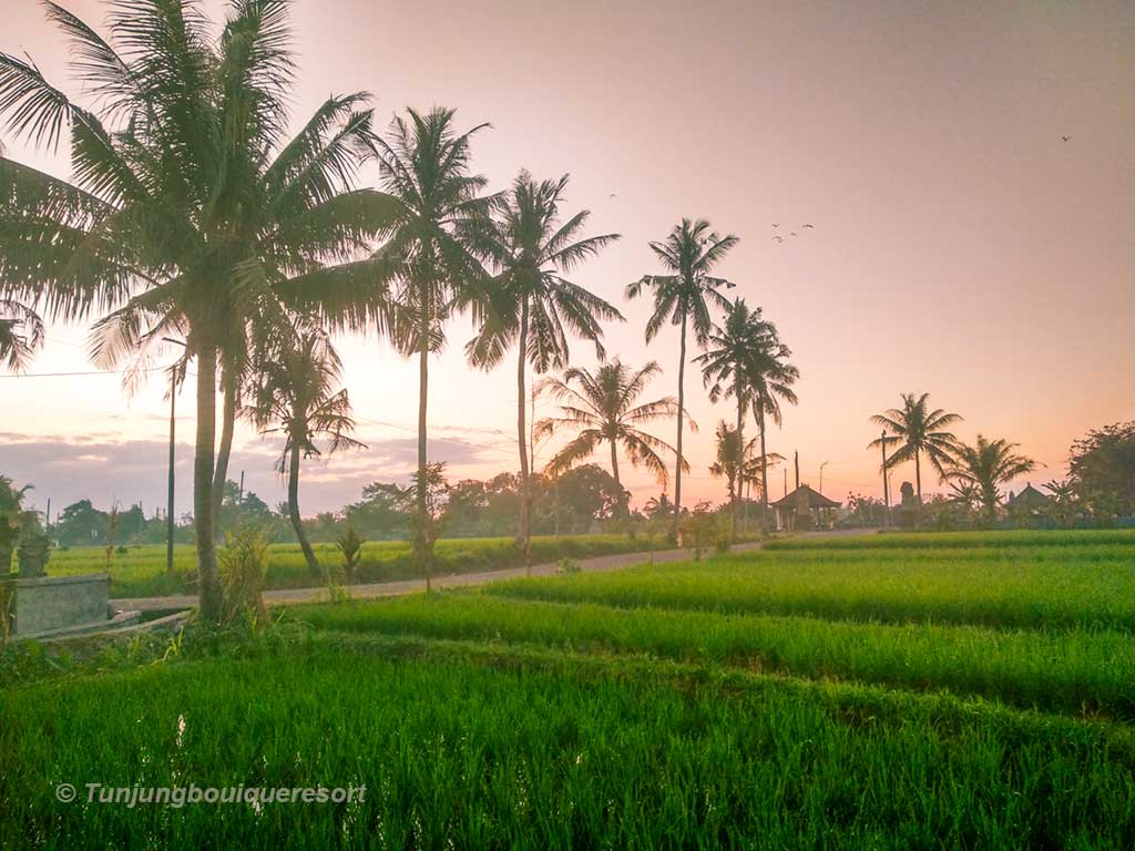 Bali Village Ambiance , Stay in Balinese Village, Bali Places to Stay