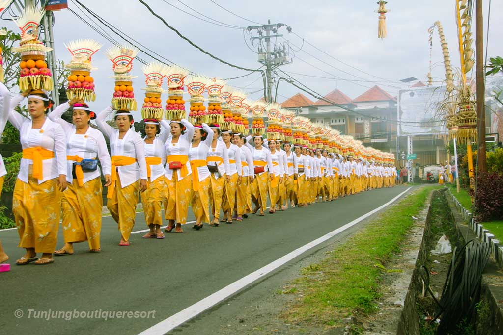 Mepeed procession on Galungan Day in Bali, Bali Galungan Day, Bali Holidays