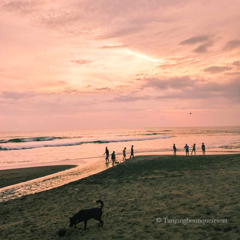 Hotels in Pererenan, Cheap hotels in Bali, Places to stay in Bali