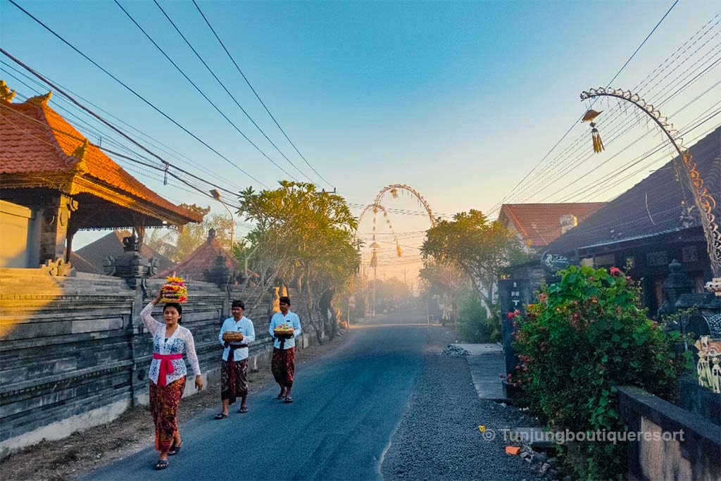 Tumbak Bayuh Canggu place to stay in Bali