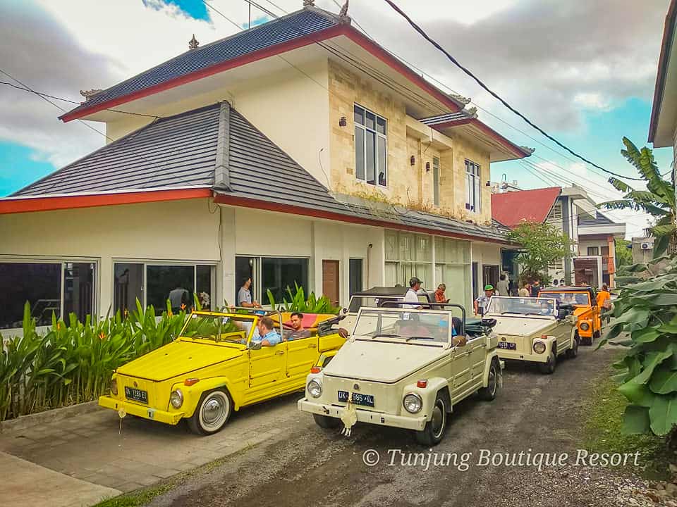 A travel group preparing to ride classic VW Safari cars for a sightseeing tour, parked at Tunjung Boutique Resort parking lot.