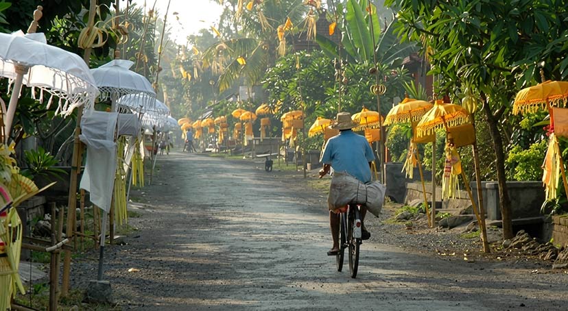 A person on a bicycle rides down a traditional Balinese village street decorated with white and yellow ceremonial umbrellas leading towards seseh beach bali.